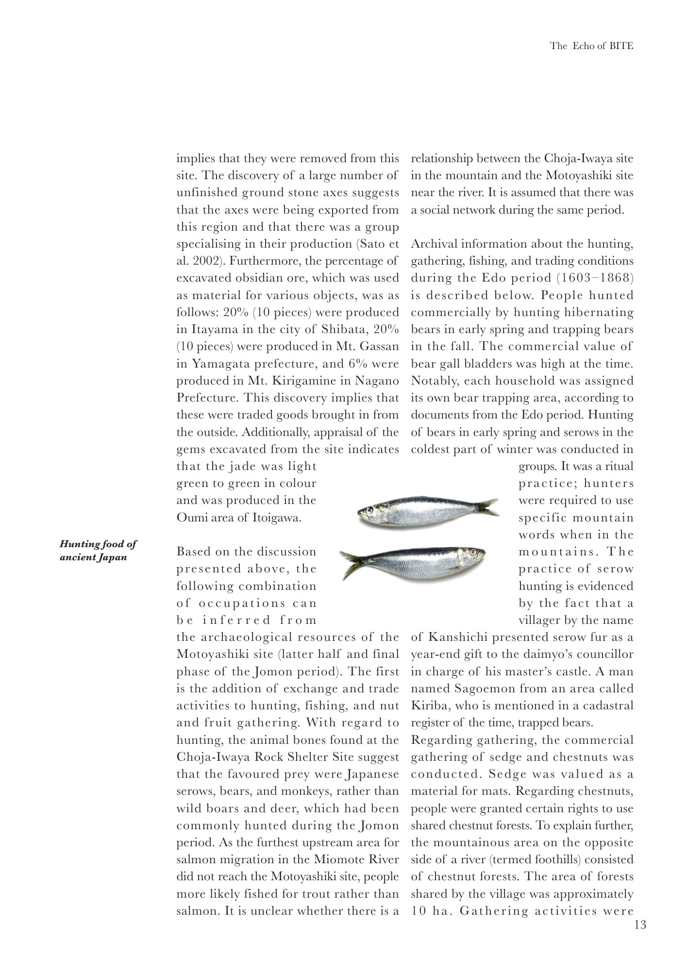 Echo of BITE Book p19