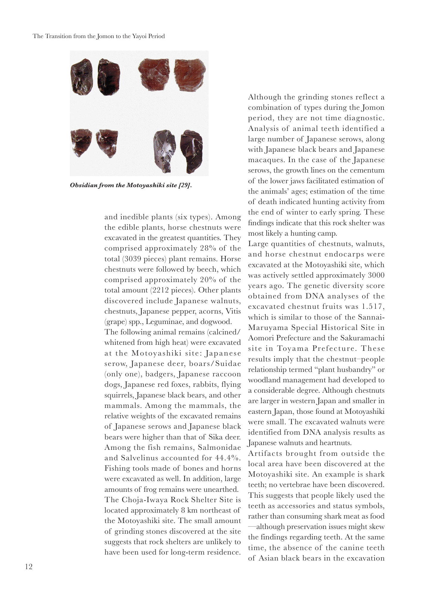 Echo of BITE Book p18