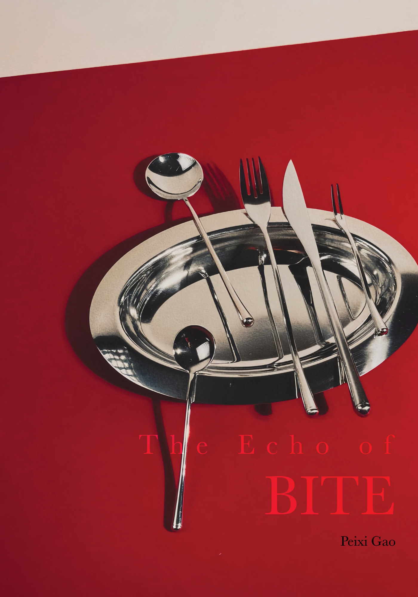 Echo of BITE Cover p03