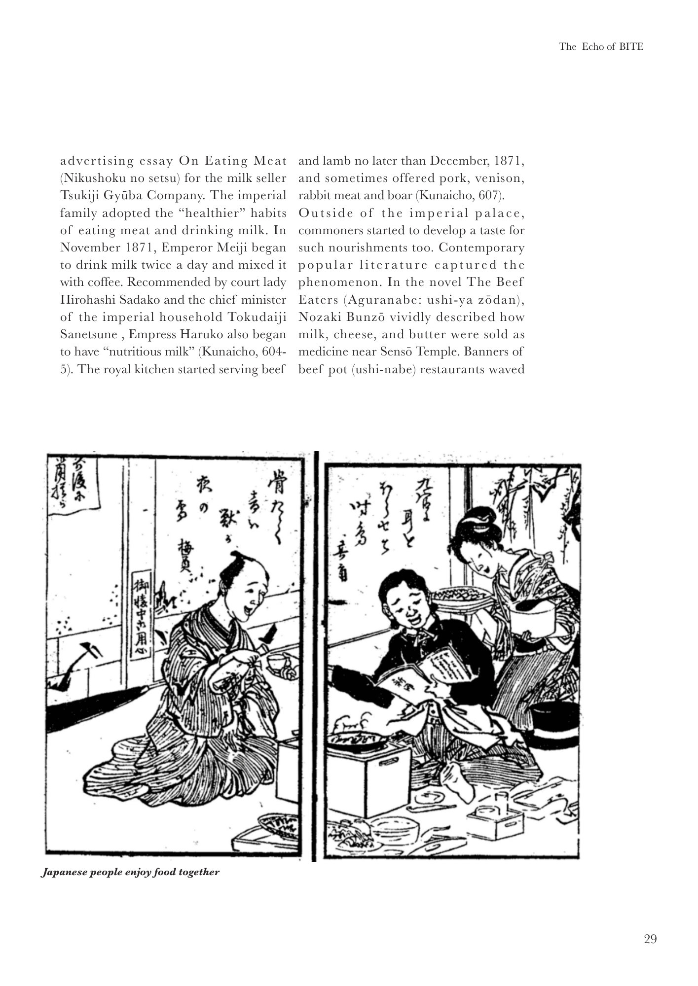 Echo of BITE Book p35