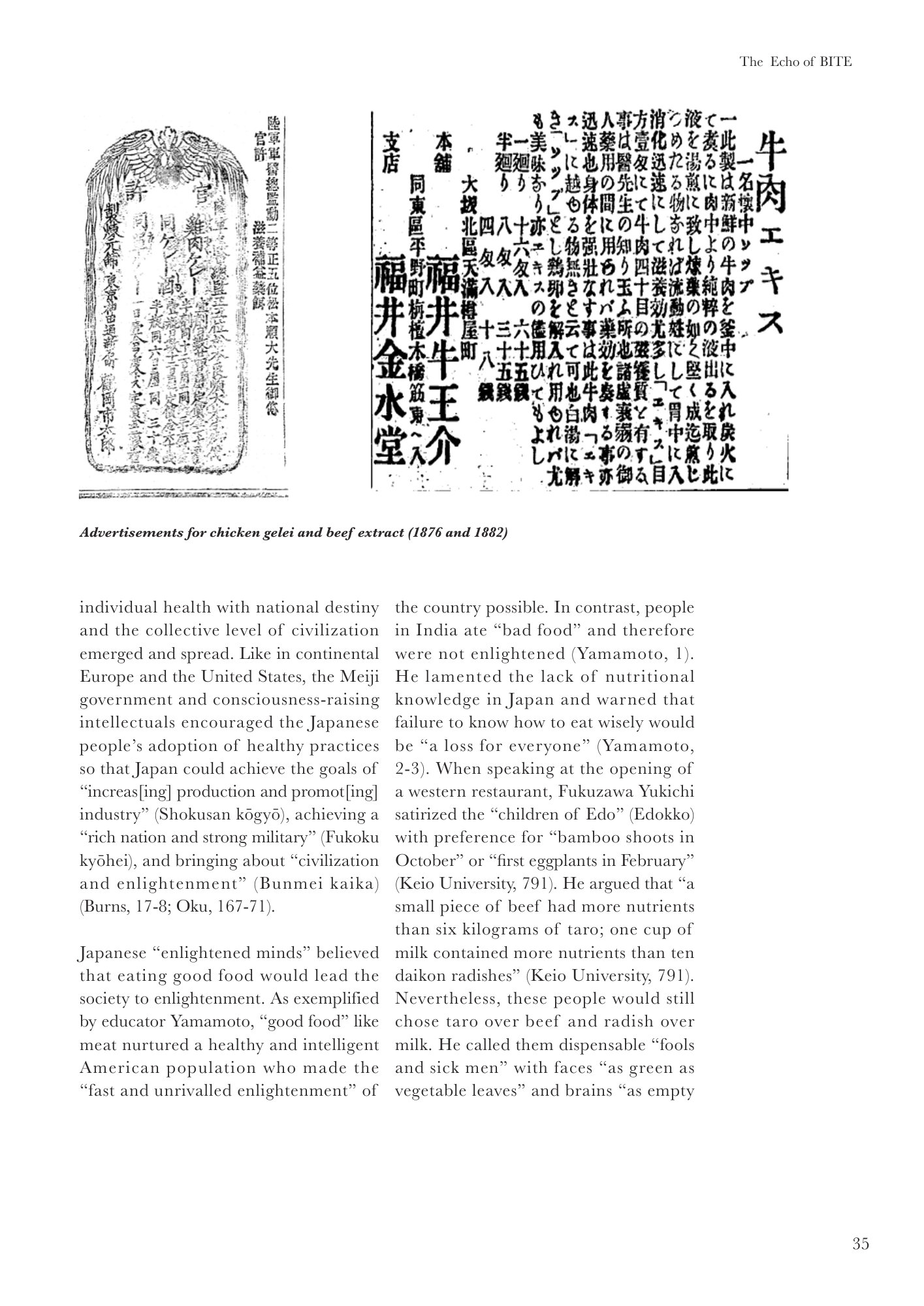 Echo of BITE Book p41