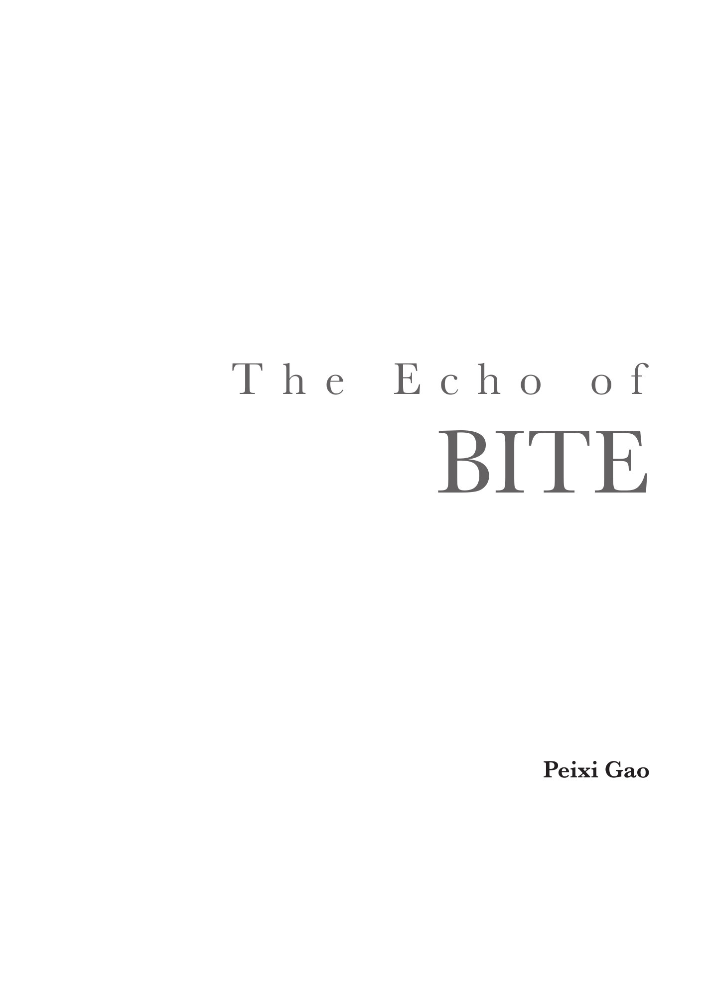 Echo of BITE Book p03