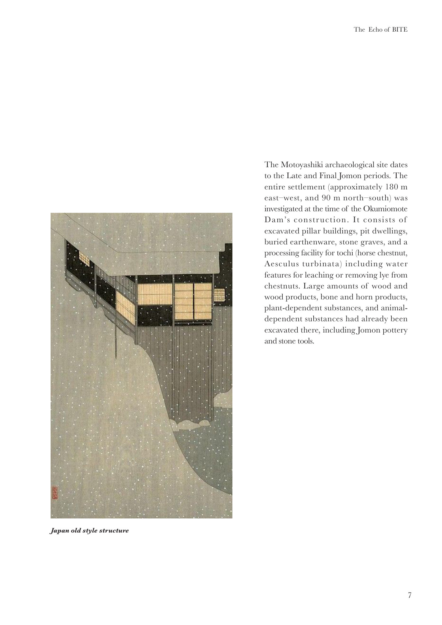 Echo of BITE Book p13